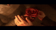 Rule Of Rose Love GIF