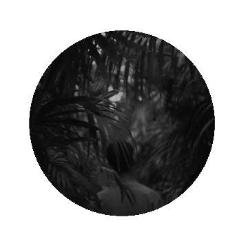 인플래닛 Sticker by Inplanet