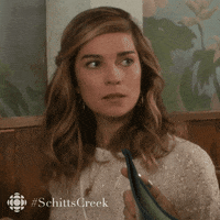 embarrassed oh no GIF by CBC