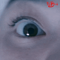 Season 1 Episode 10 GIF by The Birch