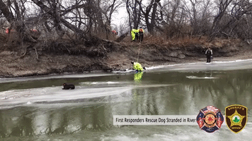 North Dakota First Responders Rescue Labrador Retriever Stranded on River Ice