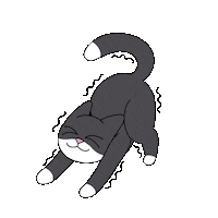 Cat Sticker by @gallegoseba