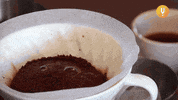 Cup Of Joe Coffee GIF by CuriosityStream