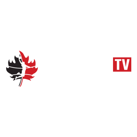LightningBasketball giphyupload nblc sudbury five london lightning Sticker