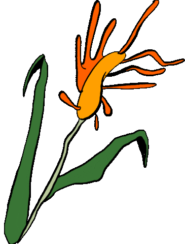 Flower Go Easy Sticker by Jamie Wolfe