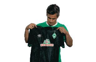 Fin Bartels Football Sticker by SV Werder Bremen