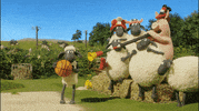 Shaun The Sheep Olympics GIF by Aardman Animations