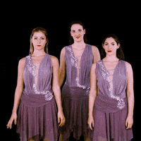 federazioneghiaccio ice wintersport sportinvernali ghiaccio GIF