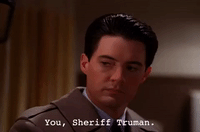 season 2 episode 3 GIF by Twin Peaks on Showtime