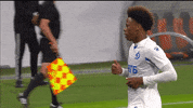 fcdynamo celebration hello hi greeting GIF