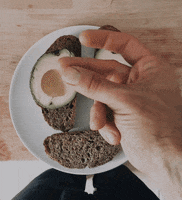 Alexdim toast snap avocado easy life GIF