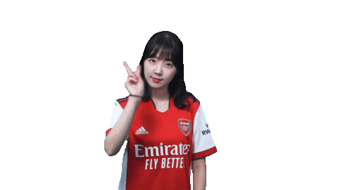 Arsenal Gunners Sticker by Shoot for Love