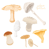 Mushroom Sticker by Leaves and Clouds