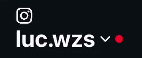 lucaszebalossGIF giphyattribution giphycreatortest GIF