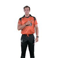 sunriserseasterncape cricket sec tristan sunrisers Sticker