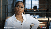 Season 5 Nbc GIF by Law & Order