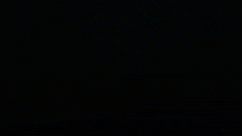 Water Swimming GIF by Giant Squid