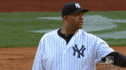 New York Yankees Baseball GIF by MLB