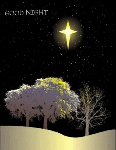 maxkeyt giphygifmaker good night GIF