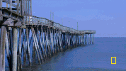 natgeochannel wicked tuna GIF