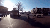 maryland GIF