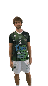 Volley Leoni Sticker by Pallavolo_motta