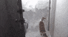 Cat GIF