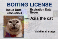 Cat Id GIF