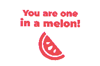 Melon Sticker by Mooi Beauty Official