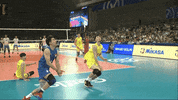 Save China GIF by Volleyball World