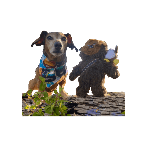 Daschund Star Wars Dog Sticker by Geekster Pets