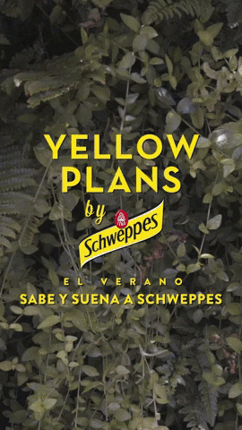 schweppes yellow plans GIF by Wegow