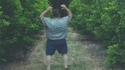 adam tas yes GIF by Universal Music Africa