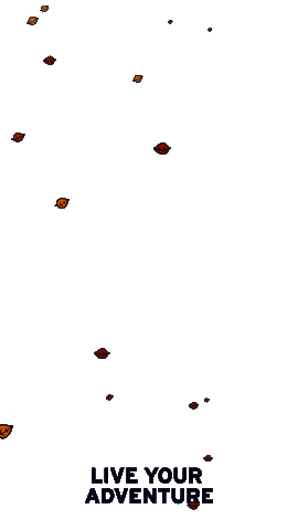 Explore Falling Leaves Sticker by Eddie Bauer