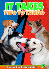 Two Sides Story Both Sides My Fault Tango Pj Petjuvenate GIF by PetJuvenate - PJ