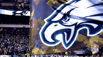 2018 nfl football GIF by NFL