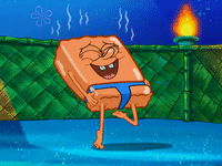 season 6 GIF by SpongeBob SquarePants