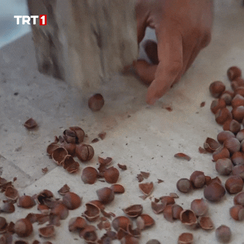 Look Energy GIF by TRT