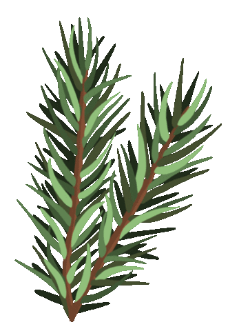 Into The Woods Pflege Sticker by pandoo