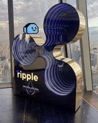 Memecoin Xrp GIF by $DROP