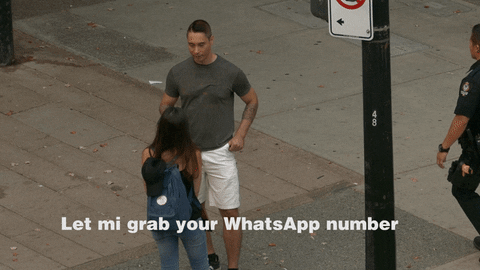 conquerandwin giphyupload GIF