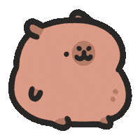 新年 Capybara Sticker by sansanplanet