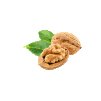 icecream calidad Sticker