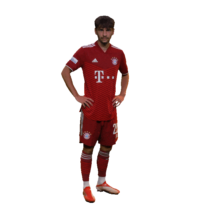fcbayerncampus giphyupload football soccer fussball Sticker