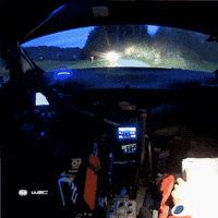 Driving Fast Car GIF by FIA World Rally Championship
