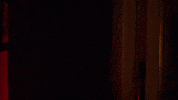 Surprised Got You GIF by Leroy Patterson