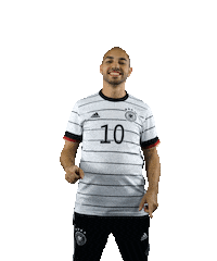 Germany Swipe Sticker by DFB-Teams