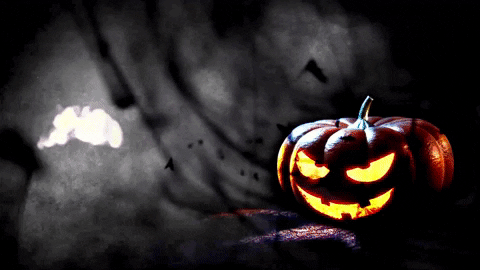 nickjboni giphyupload halloween pumpkin scare GIF