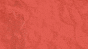 Valentines Day GIF by Dean Martin