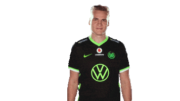 E Sports Sport Sticker by VfL Wolfsburg